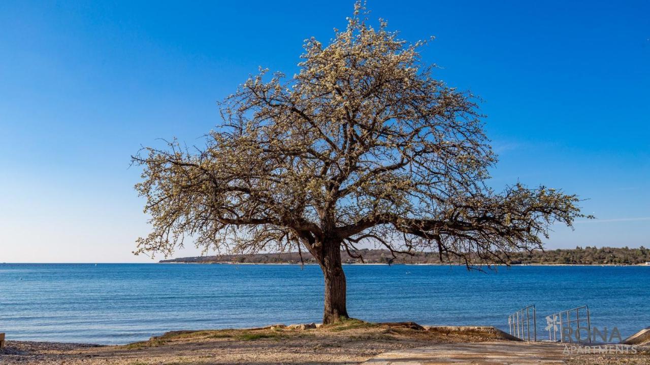Rona Holiday Home Ana Poreč Dış mekan fotoğraf